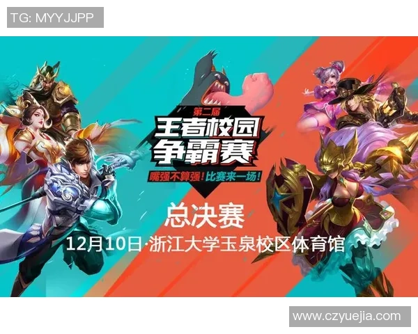 王者荣耀盛宴揭秘WE战队背后的强大力量与荣耀之路